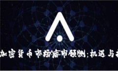 2023年加密货币市场后市预测：机遇与挑战并存