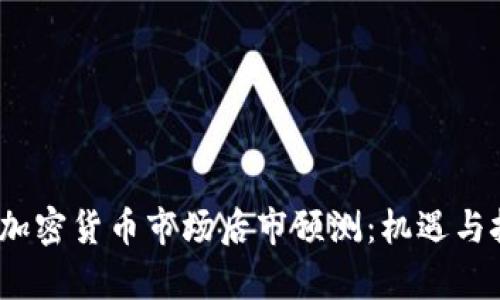 2023年加密货币市场后市预测：机遇与挑战并存