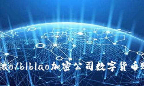 bibiao/bibiao加密公司数字货币账单