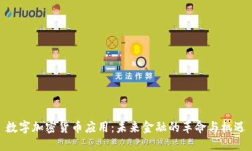 数字加密货币应用：未来金融的革命与机遇