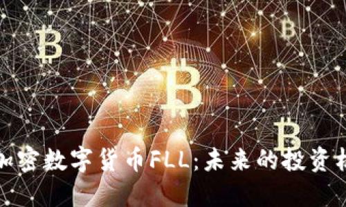 深入了解加密数字货币FLL：未来的投资机会与风险