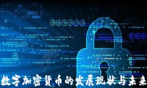 
国内数字加密货币的发展现状与未来趋势