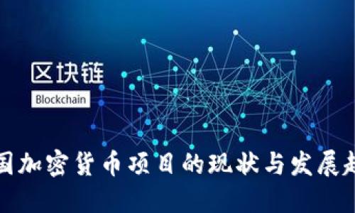 中国加密货币项目的现状与发展趋势