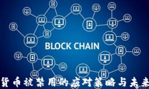 
加密货币被禁用的应对策略与未来展望