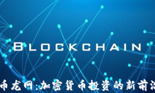
币龙网：加密货币投资的新前沿