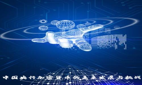 中国央行加密货币的未来发展与挑战