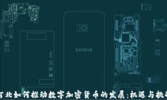 河北如何推动数字加密货币的发展：机遇与挑战