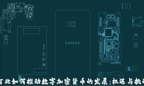 
河北如何推动数字加密货币的发展：机遇与挑战