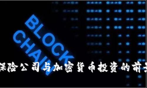 美国保险公司与加密货币投资的前景分析