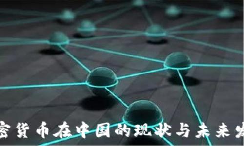   
加密货币在中国的现状与未来发展