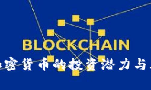 240万加密货币的投资潜力与风险分析