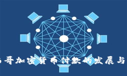 墨西哥加密货币付款的发展与前景