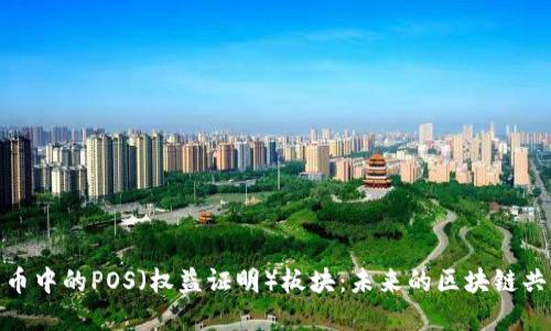 加密货币中的POS（权益证明）板块：未来的区块链共识机制