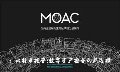 : 比特币托管：数字资产安全的新选择