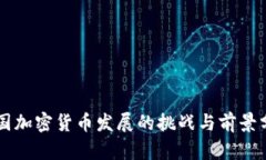 中国加密货币发展的挑战与前景分析