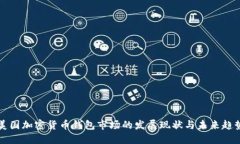 美国加密货币钱包市场的发展现状与未来趋势