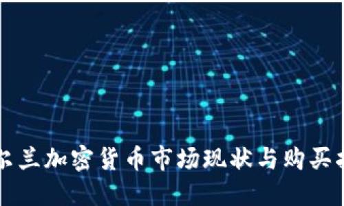 爱尔兰加密货币市场现状与购买指南