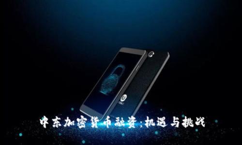 中东加密货币融资：机遇与挑战