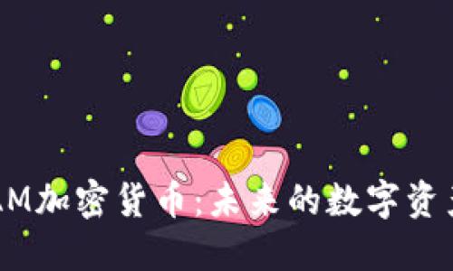 RAM加密货币：未来的数字资产？