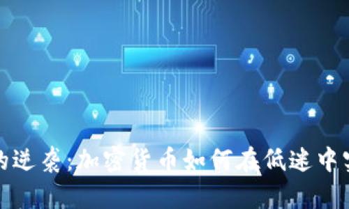 熊市中的逆袭：加密货币如何在低迷中实现暴涨