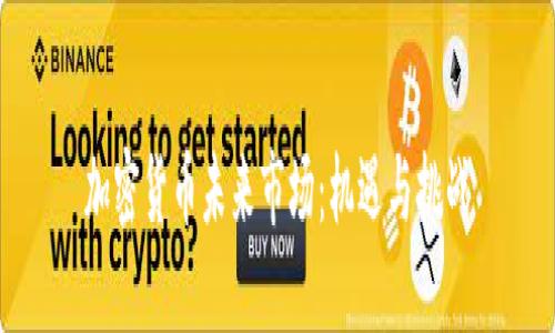 加密货币未来市场：机遇与挑战