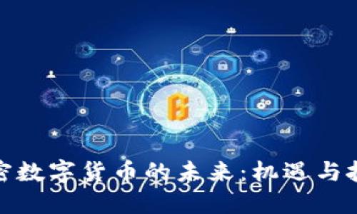 加密数字货币的未来：机遇与挑战