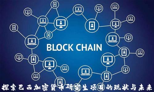 
探索巴西加密货币研究生项目的现状与未来