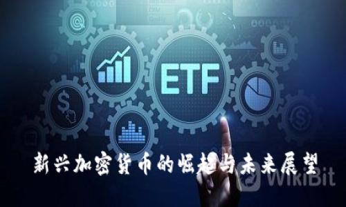 新兴加密货币的崛起与未来展望