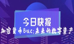探索加密货币Buc：未来的数字资产之选