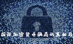 深入探讨国际加密货币骗局的真相与防范措施