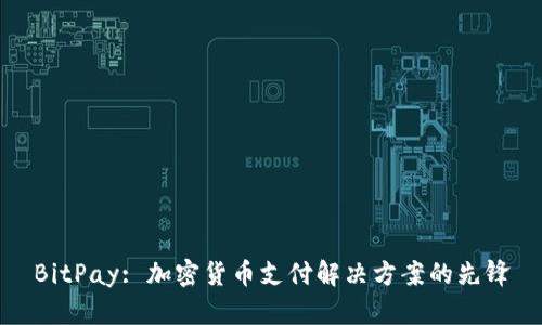 BitPay: 加密货币支付解决方案的先锋