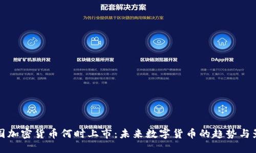 中国加密货币何时上市：未来数字货币的趋势与影响
