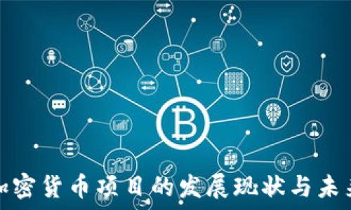   
中国加密货币项目的发展现状与未来趋势