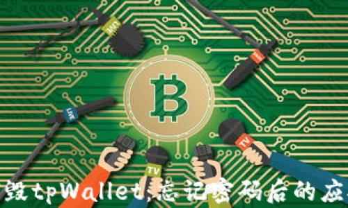 
如何销毁tpWallet：忘记密码后的应对措施