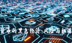 加密货币的黑色经济：风险与机遇并存