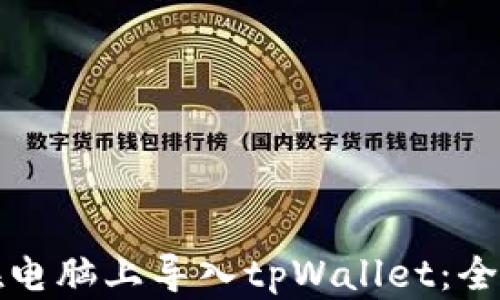 
如何在电脑上导入tpWallet：全面指南