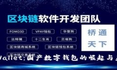 tpWallet：国产数字钱包的崛起与未来