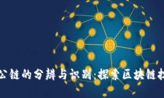 加密货币公链的分辨与识别：探索区块链技术的