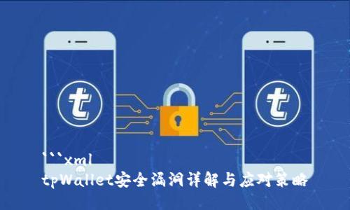 ```xml
tpWallet安全漏洞详解与应对策略