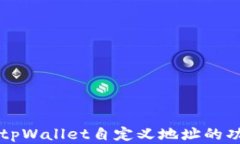 深入解析tpWallet自定义地址的功能与应用