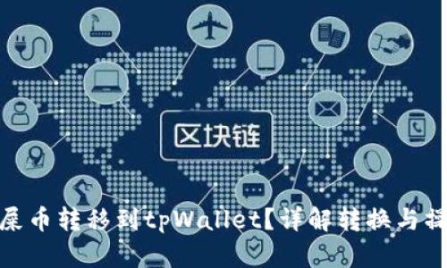 如何将屎币转移到tpWallet？详解转换与操作步骤