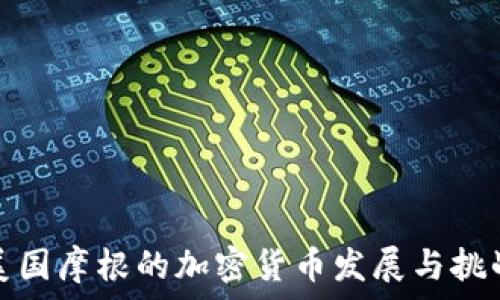  
美国摩根的加密货币发展与挑战