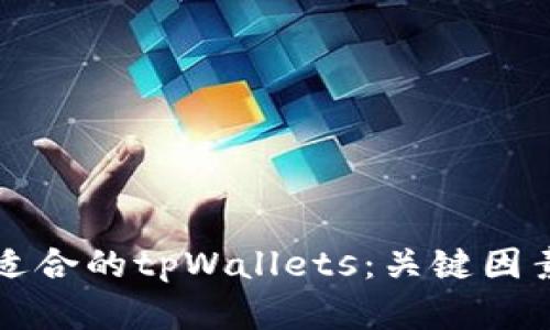 如何选择最适合的tpWallets：关键因素与比较指南