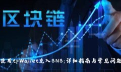 如何使用tpWallet充入BNB：详细指南与常见问题解析