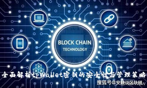 全面解析tpWallet密钥的安全性与管理策略