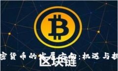 加密货币的发展方向：机遇与挑战