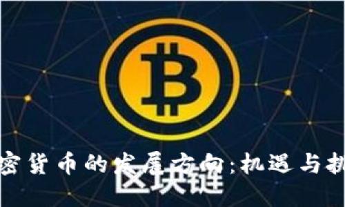 加密货币的发展方向：机遇与挑战