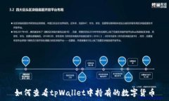   如何查看tpWallet中持有的数字货币