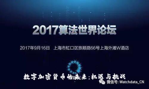 数字加密货币的未来：机遇与挑战