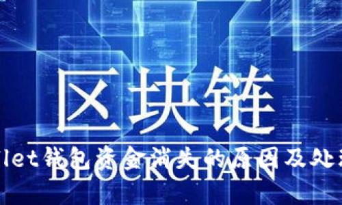 tpWallet钱包资金消失的原因及处理方案